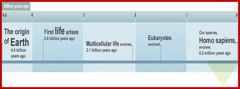 A timeline of Earth history from 4.6 billion years ago to the evolution of our species.