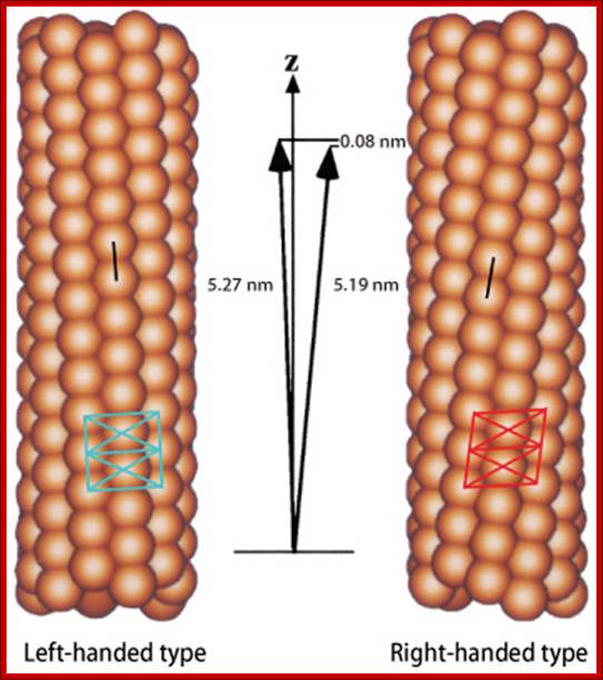 http://www.spring8.or.jp/en/news_publications/publications/scientific_results/life_science/fig/topic2_fig1.jpg