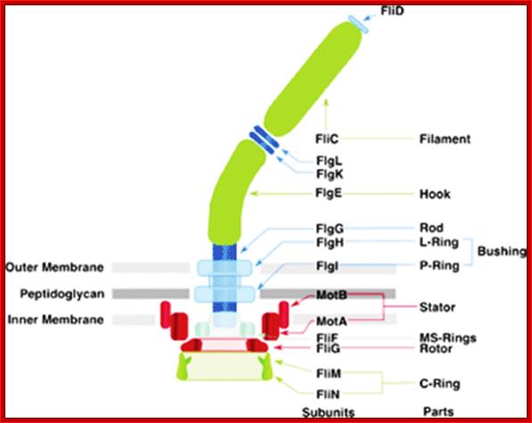 http://www.rsc.org/ej/LC/2007/b711066a/b711066a-f3.gif