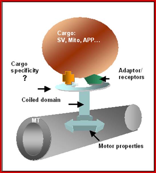 http://www.biomedcentral.com/content/figures/1471-2105-7-S1-S6-1.jpg