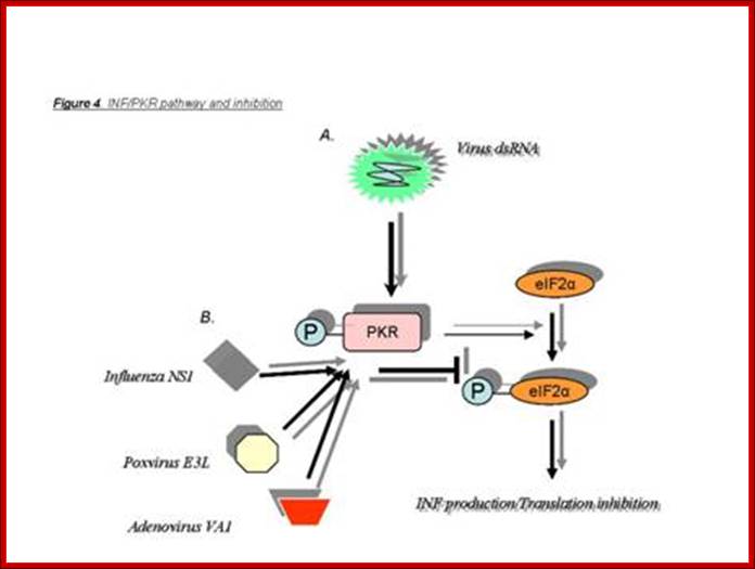 figure4