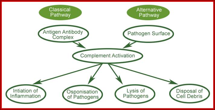 Description: http://img.medscape.com/pi/emed/ckb/pediatrics_general/1331341-1331360-886128-1557613.jpg
