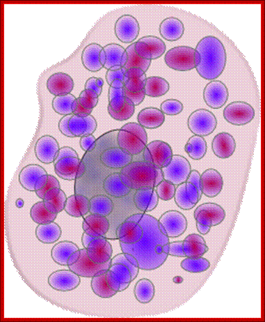 Mast Cell Clip Art