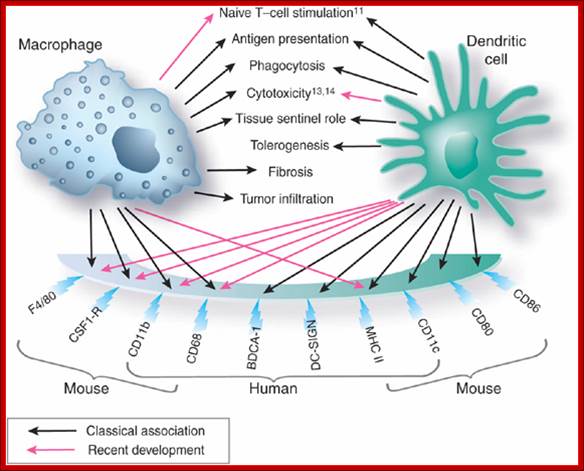 Unfortunately we are unable to provide accessible alternative text for this. If you require assistance to access this image, please contact help@nature.com or the author