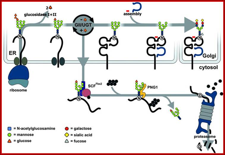 Description: Unfortunately we are unable to provide accessible alternative text for this. If you require assistance to access this image, or to obtain a text description, please contact npg@nature.com