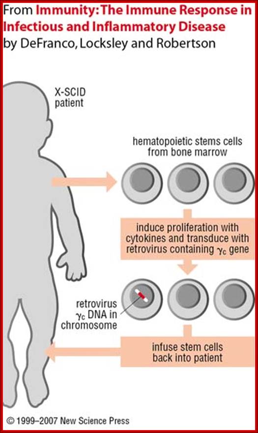 http://www.new-science-press.com/info/illustration_files/nsp-immunity-14-1-14_3.jpg