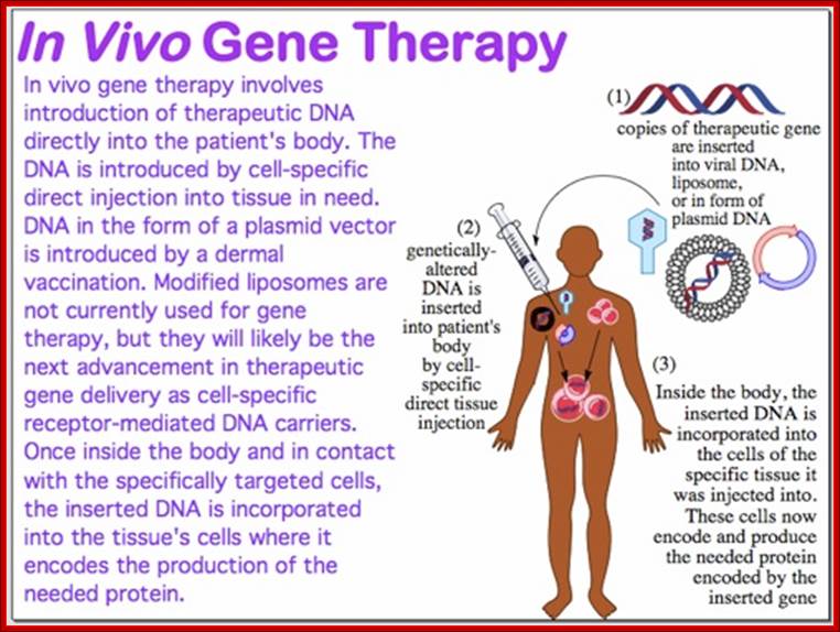 In vivo gene therapy.jpg