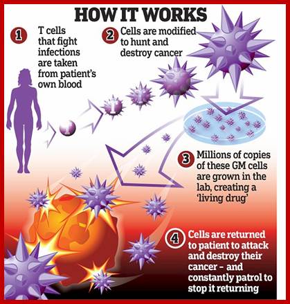 The extraordinary results are unprecedented in medicine, the worlds biggest science conference heard