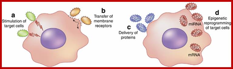 Unfortunately we are unable to provide accessible alternative text for this. If you require assistance to access this image, please contact help@nature.com or the author