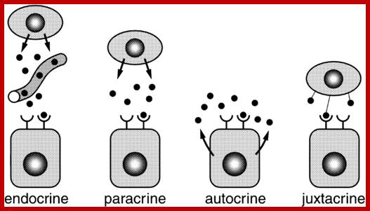 http://ttktamop.elte.hu/online-tananyagok/physiology_practical/images/m5d2789d0.jpg