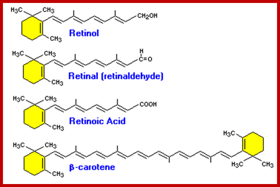 http://www.vivo.colostate.edu/hbooks/pathphys/topics/vitamina.gif