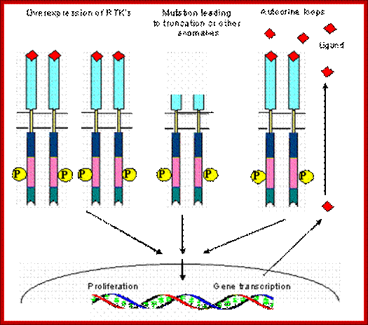 International Journal of Medical Sciences 01: 0101 image No. 03