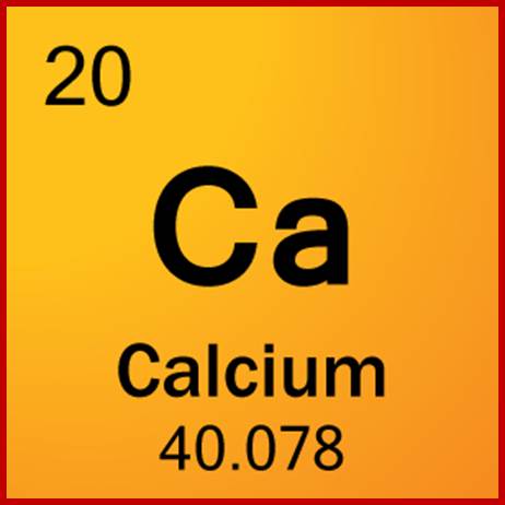 Image result for Calcium