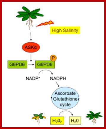 Jonak Research Fig 3