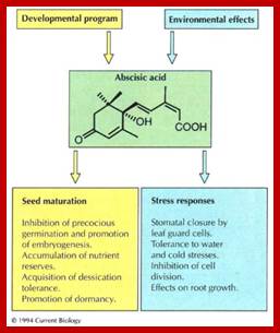 http://ars.sciencedirect.com/content/image/1-s2.0-S0960982200002293-gr1.jpg