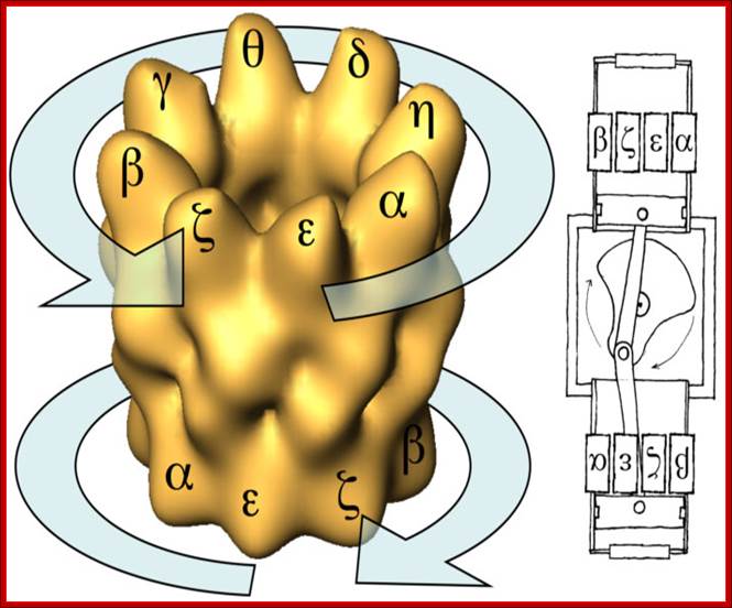 http://www.cnb.csic.es/~jmv/imagenes/phase.jpg