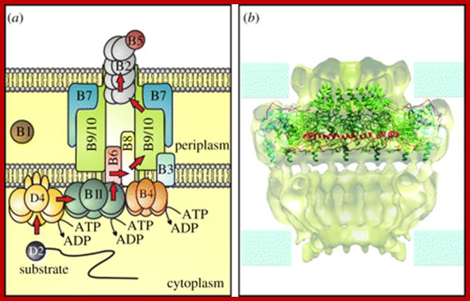 Figure 3.