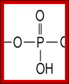 Phosphate_Group