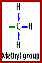 MethylGroup