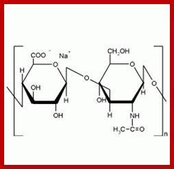 Image result for Hyaluronate