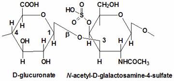 Structure of the disaccharide component of chondroitin sulfates