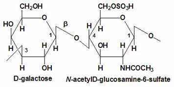 Structure of the disaccharide component of keratan sulfates