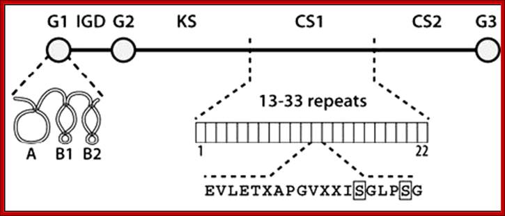 figures 1