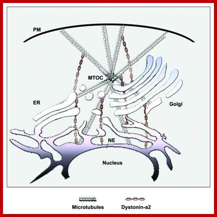 bioa-2-2-g2