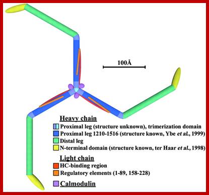 http://emboj.embopress.org/content/embojnl/21/22/6072/F7.large.jpg?width=800&height=600