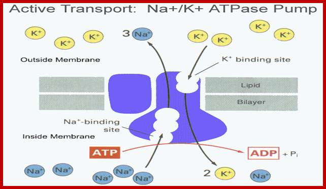 figure3-10