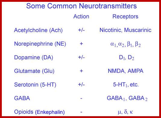 figure4a