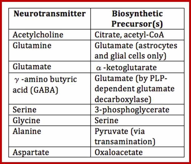 Neurotransmitter_chart