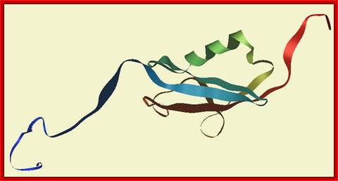 File:HSUMO1 1A5R nmr ribbons.png