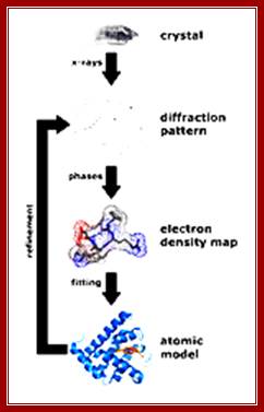 major steps involved in X-ray crystallography of biomolecules