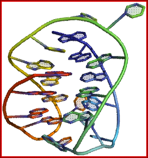 Three-dimensional structure of a G-quadruplex