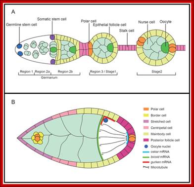 Unfortunately we are unable to provide accessible alternative text for this. If you require assistance to access this image, please contact help@nature.com or the author