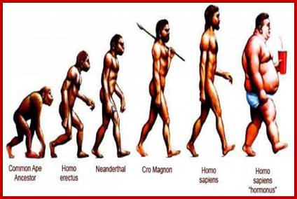 http://y12hb.files.wordpress.com/2013/03/cropped-evolution2.jpg