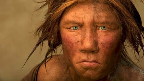 The Neanderthal woman was re-created and built by Dutch artists Andrie and Alfons Kennis. Research including fossil anatomy and a detailed study of DNA is present in the color of the skin and eyes. (Photo by Joe McNally/Getty Images)