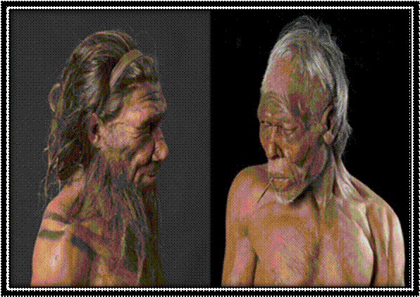 Models of male Homo neanderthalensis and Homo sapiens