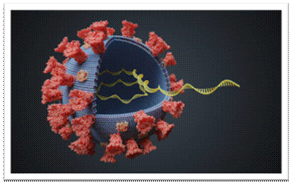 Virus with RNA molecule inside. Viral genetics concept. 3D rendered illustration. Virus with RNA molecule inside. Viral genetics concept. 3D rendered illustration. dna rna stock pictures, royalty-free photos & images