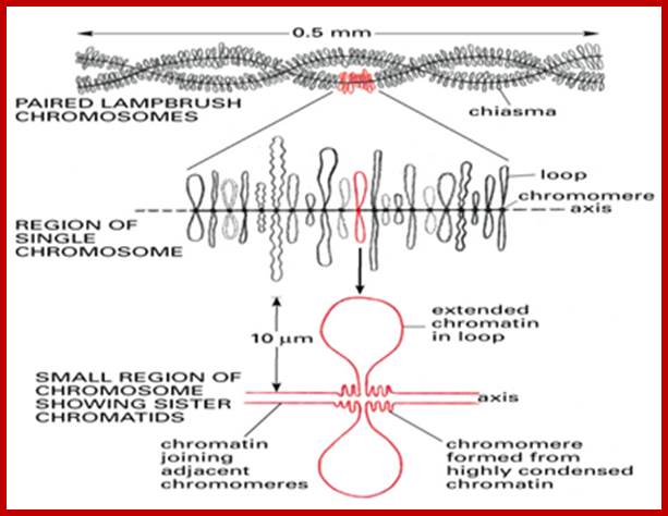 Related image