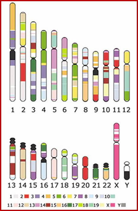 Sorry, Californians, It is Unlawful for You to Sequence Your Own Genomes