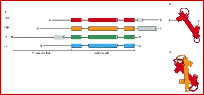 An external file that holds a picture, illustration, etc., usually as some form of binary object. The name of referred object is ch4f26.jpg. 