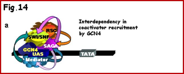Figure 14a