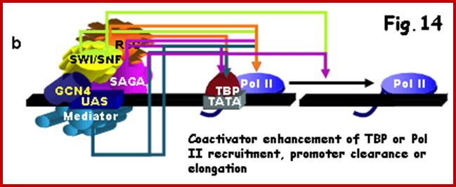 Figure 14b