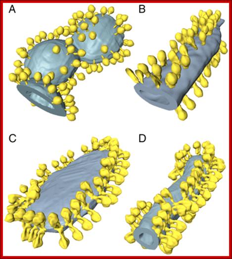 Fig. 4.