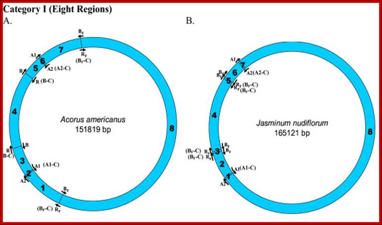 Description: http://www.biomedcentral.com/content/figures/1471-2164-10-237-2.jpg