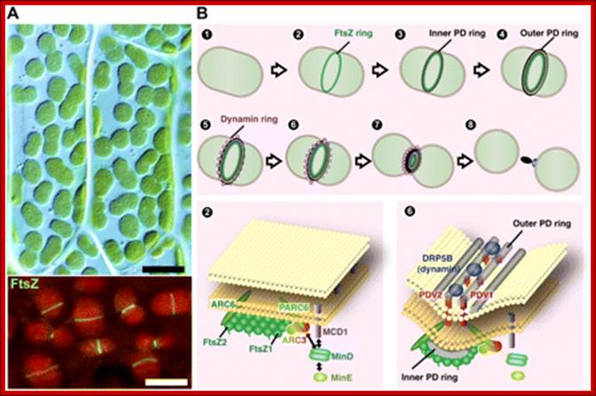 Description: Figure 2.