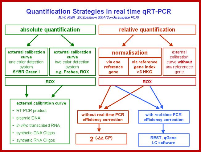 Image result for quantification of gene expression