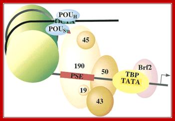 Figure 12.